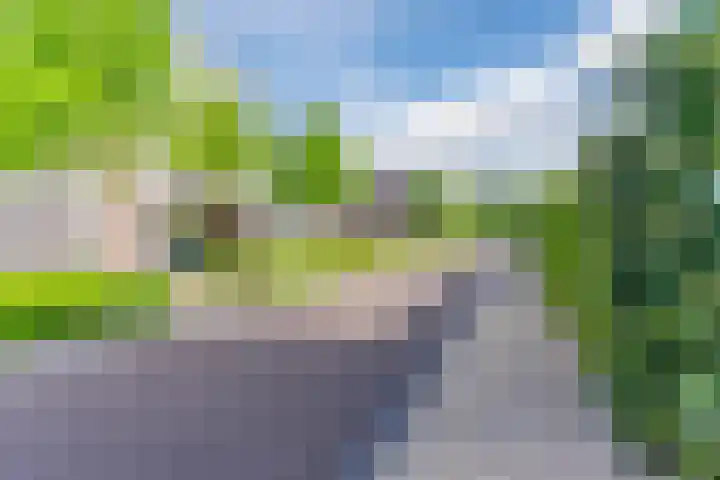 Waterland 26 Eindhoven thumbnail 73