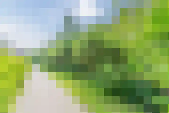 Waterland 26 Eindhoven thumbnail 74