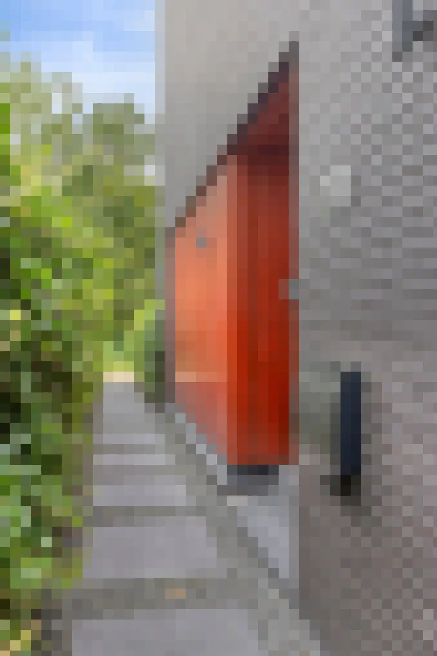 Waterland 28 Eindhoven thumbnail 11