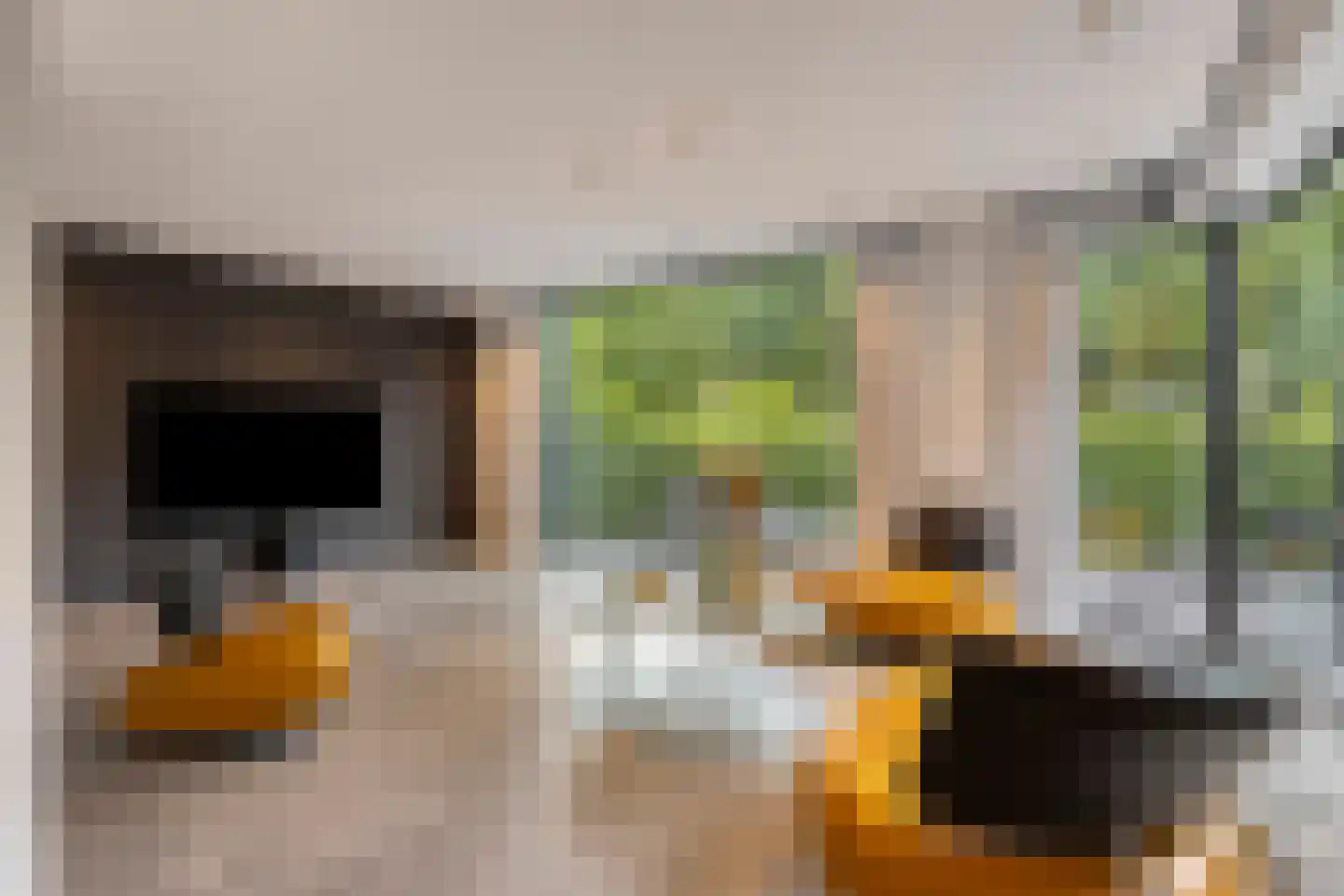 Waterland 28 Eindhoven thumbnail 29