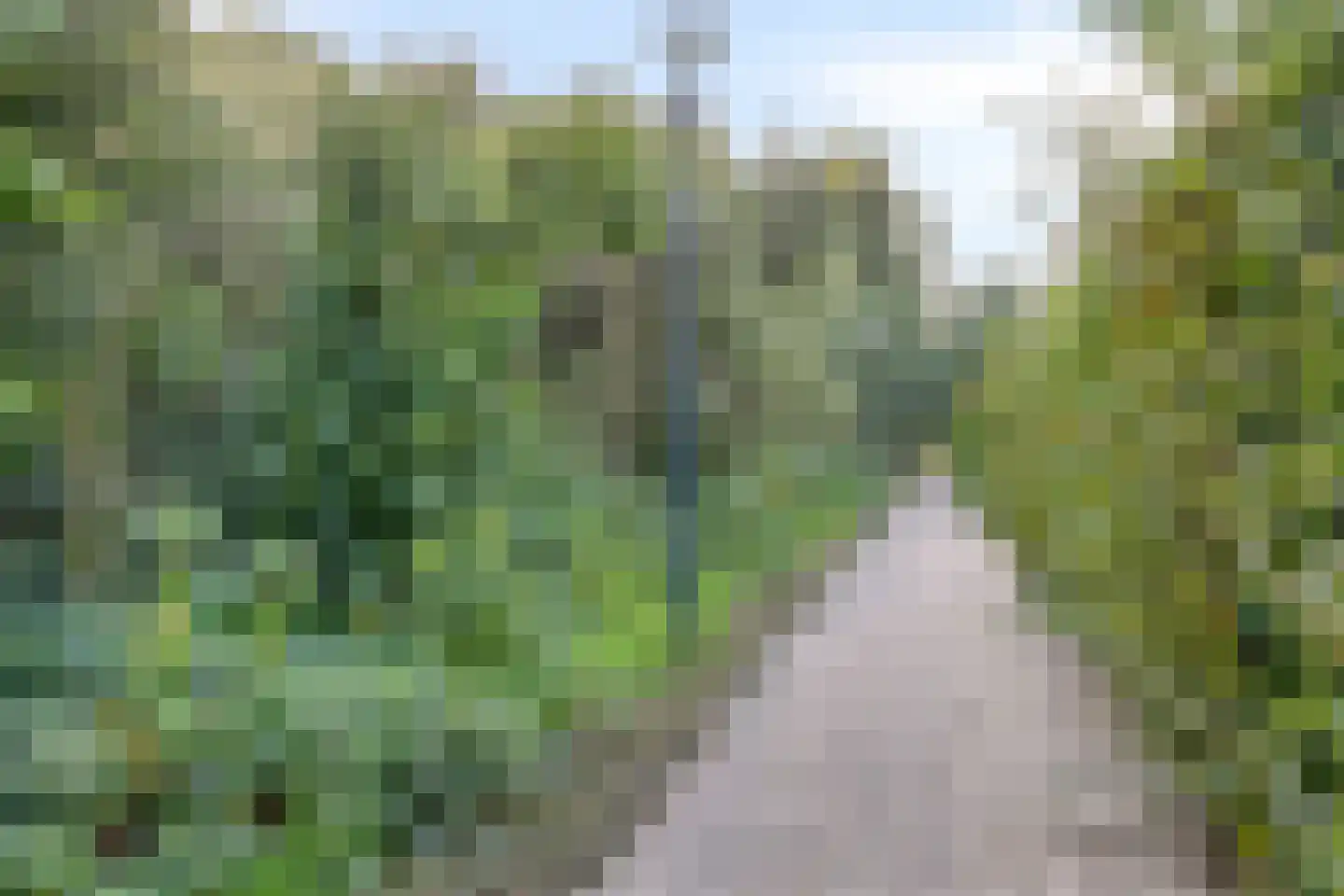 Waterland 28 Eindhoven thumbnail 63