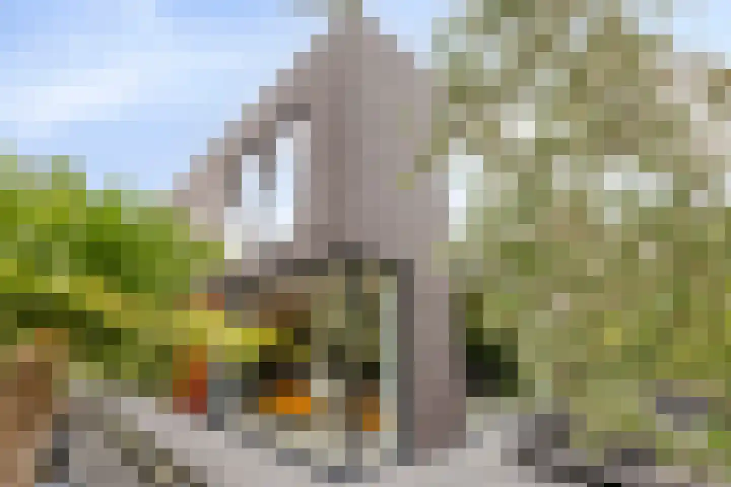 Waterland 28 Eindhoven thumbnail 66