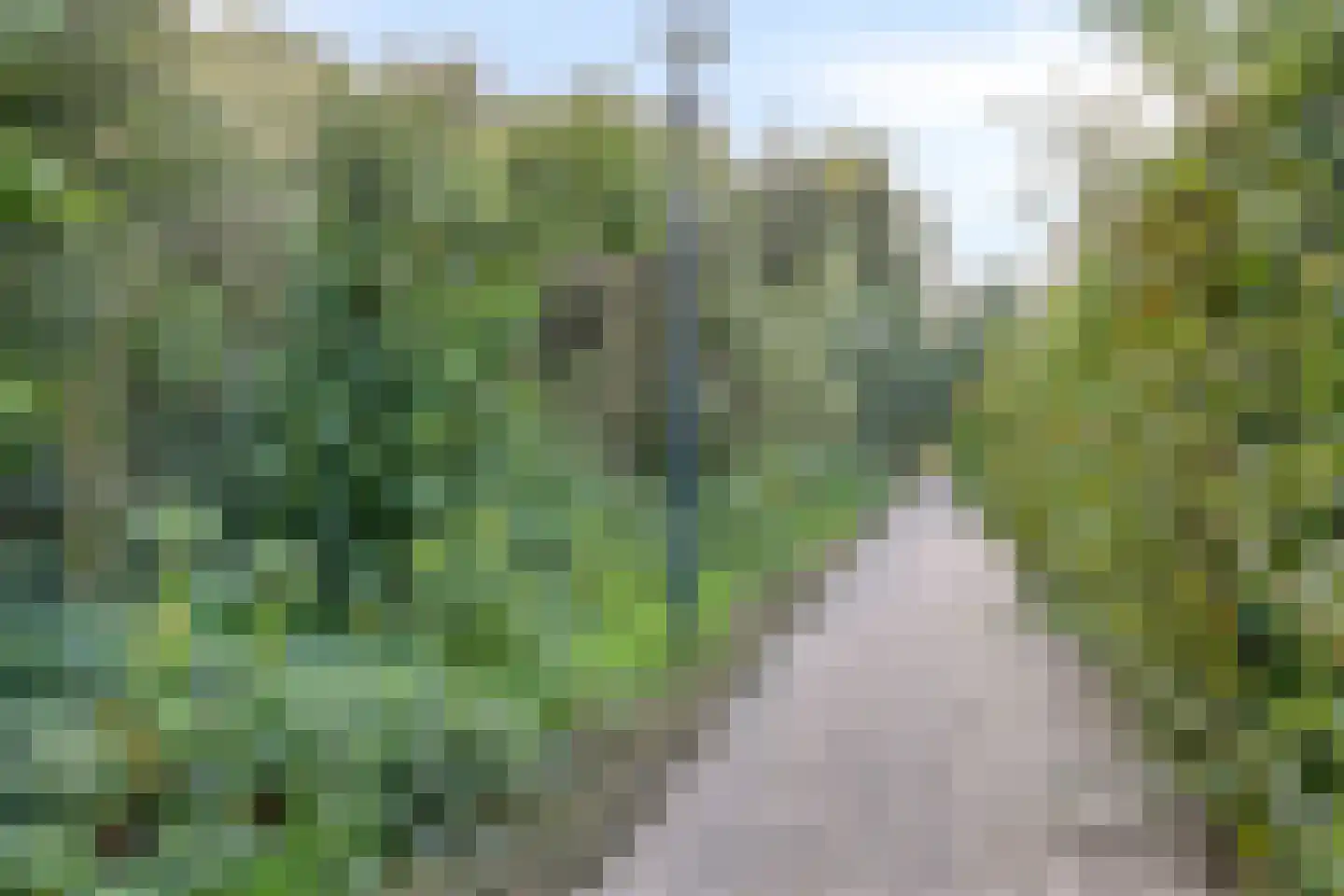 Waterland 28 Eindhoven thumbnail 68