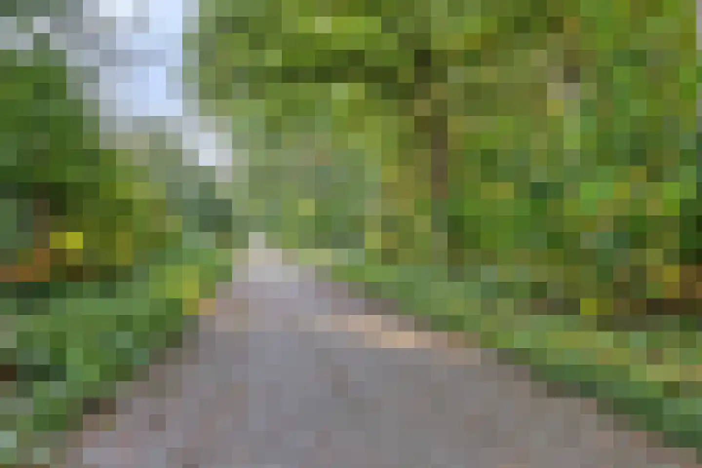 Waterland 28 Eindhoven thumbnail 69
