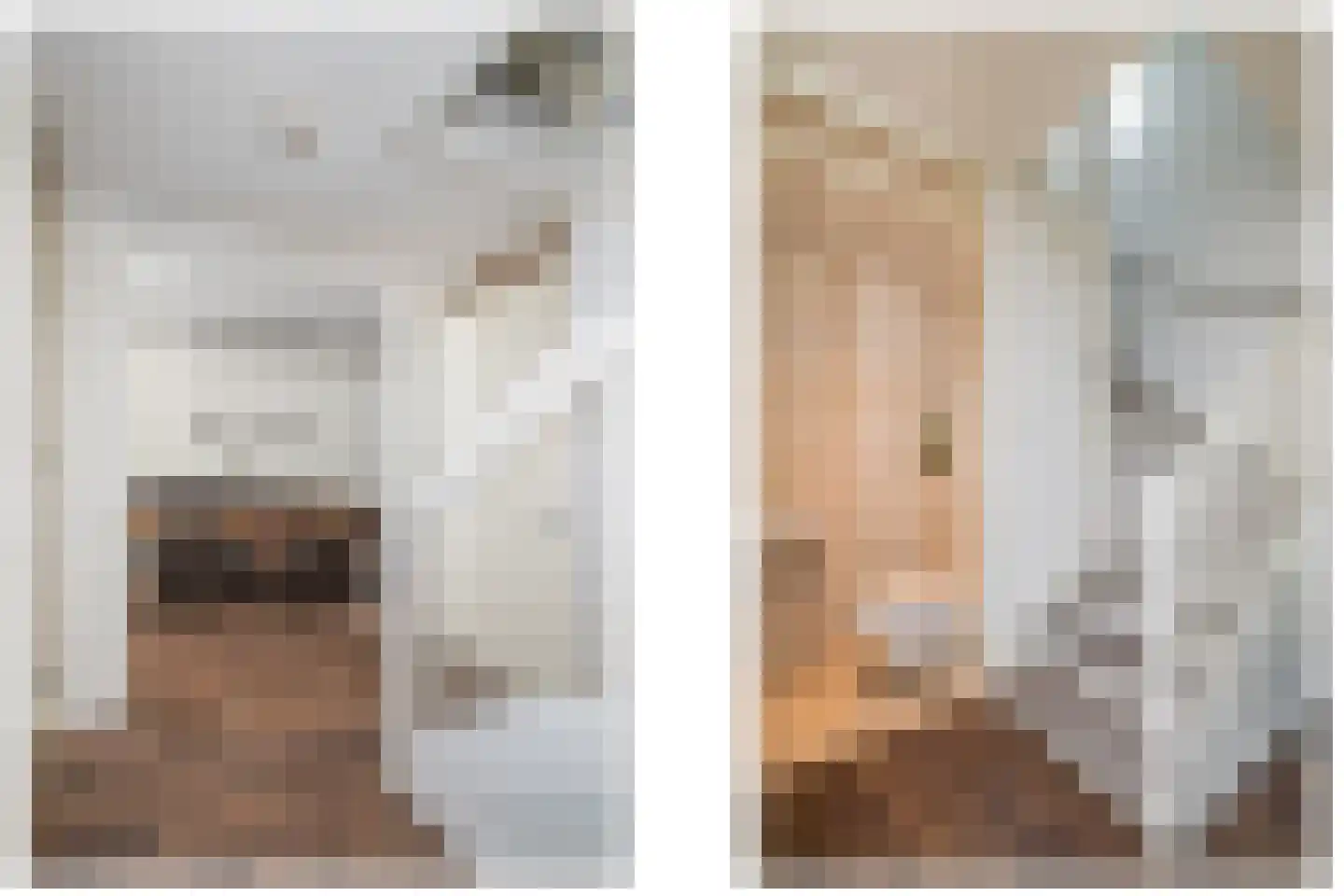 Waterland 28 Ridderkerk thumbnail 12