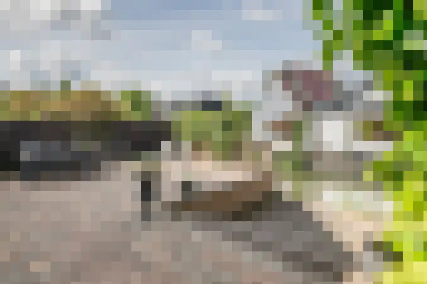 Waterland 28 Ridderkerk thumbnail 9