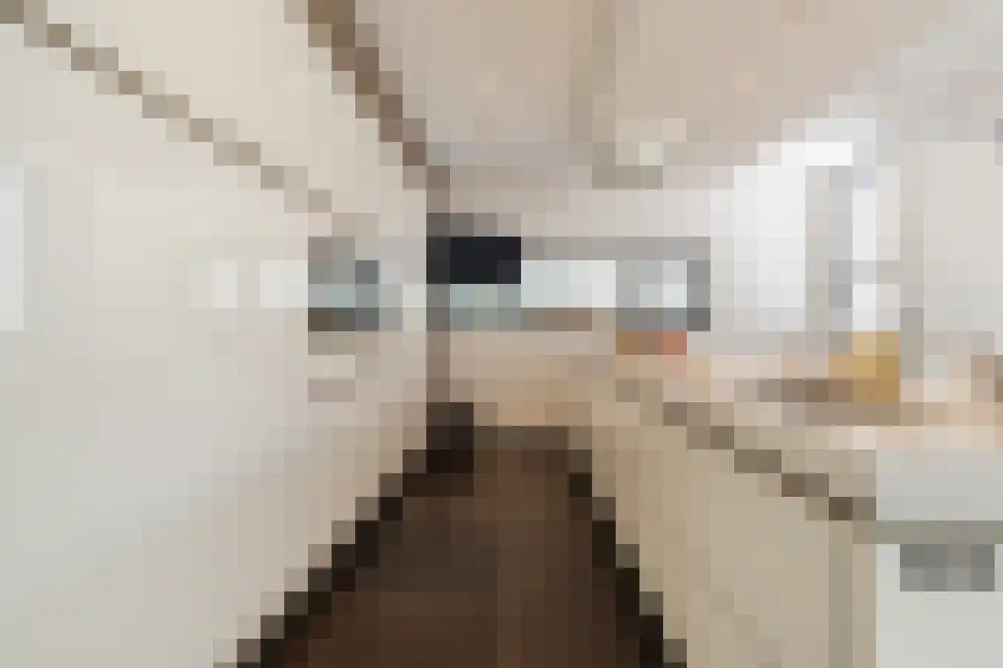 Waterland 36 Eindhoven thumbnail 17