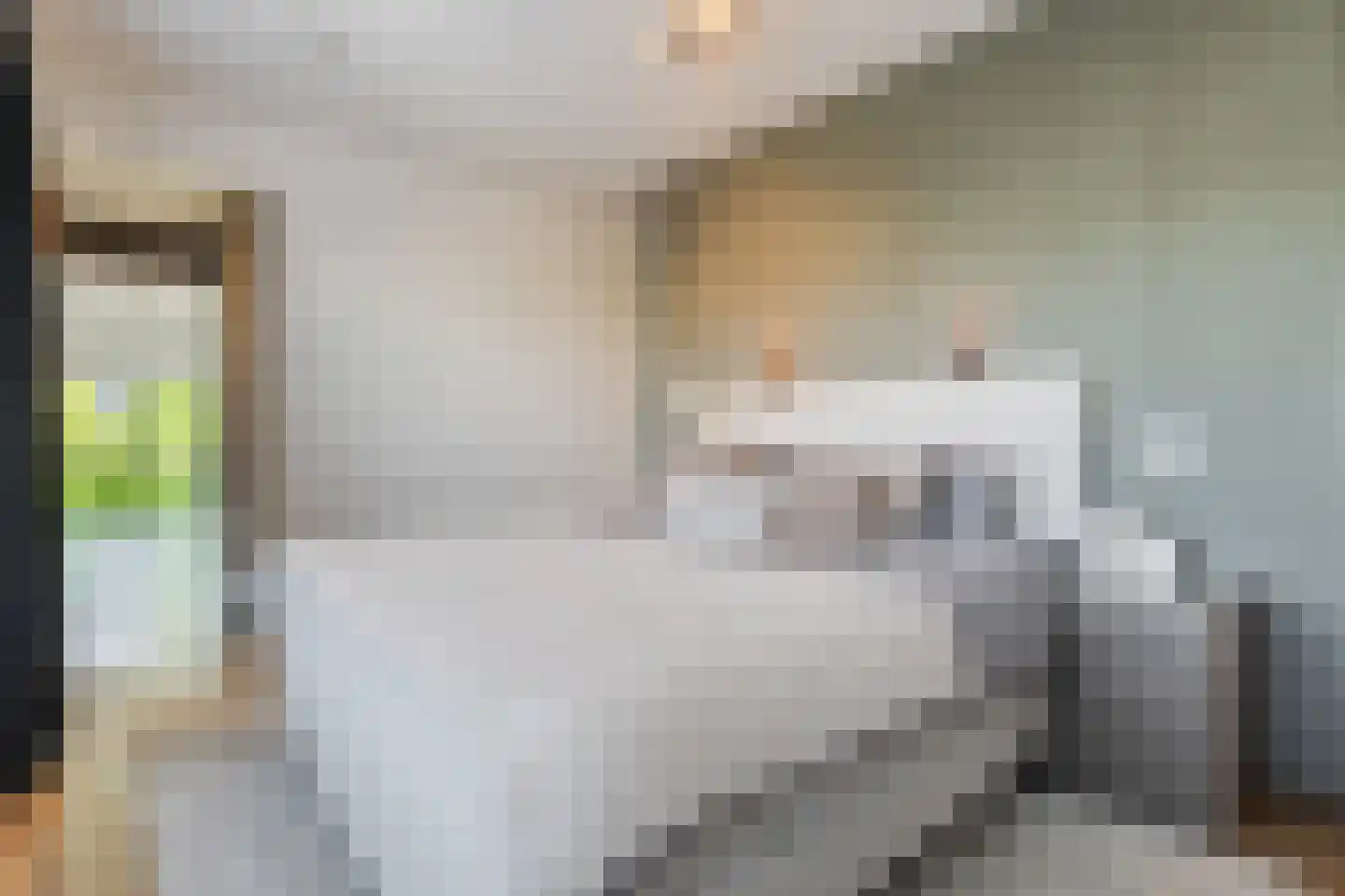 Waterland 36 Eindhoven thumbnail 37
