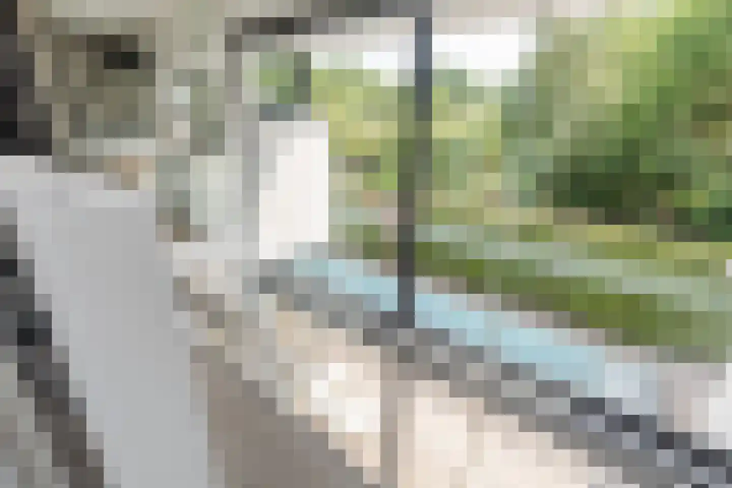 Waterland 36 Eindhoven thumbnail 44
