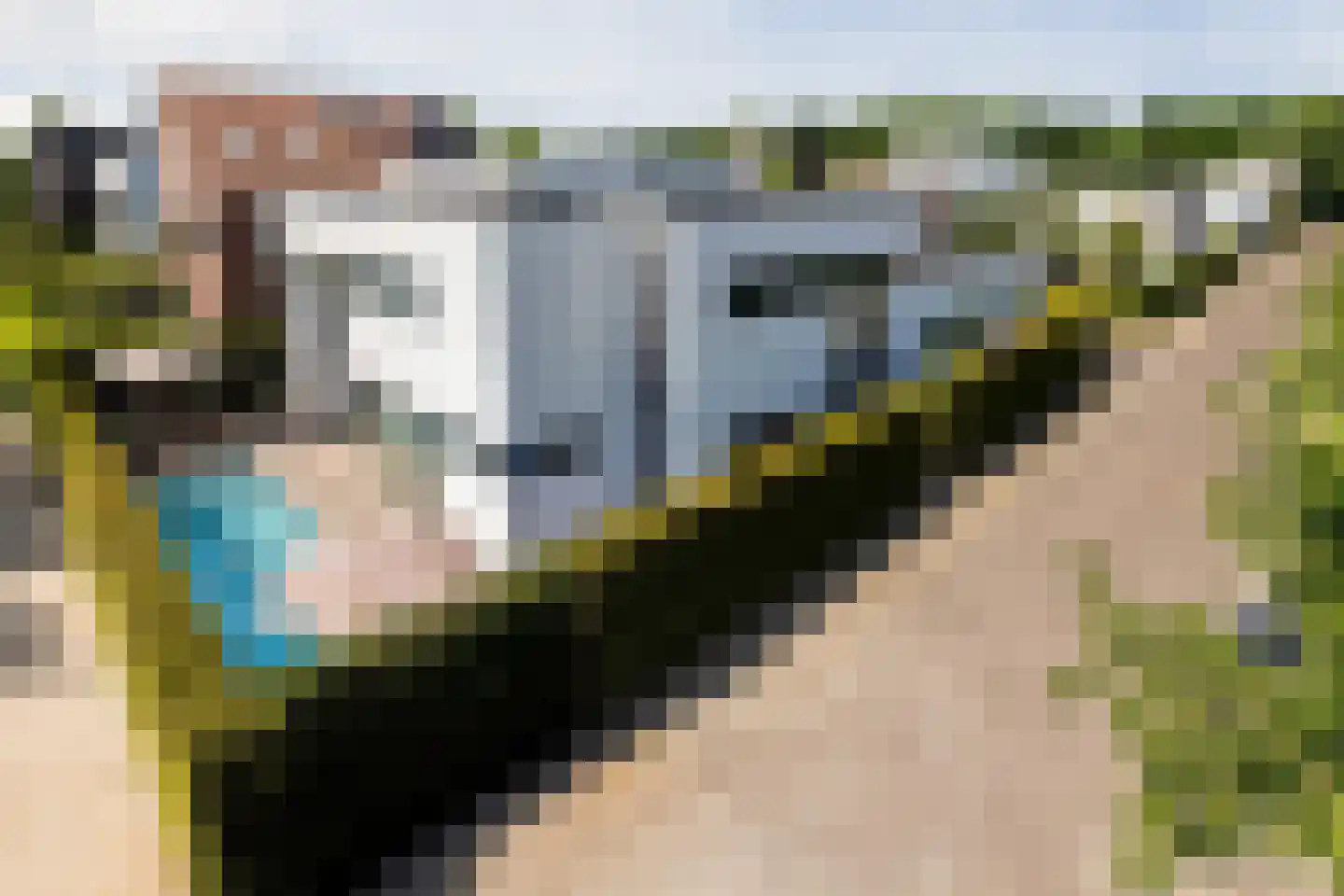 Waterland 36 Eindhoven thumbnail 67