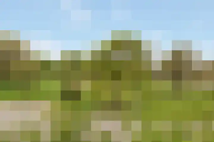 Waterland 37 Huizen thumbnail 20