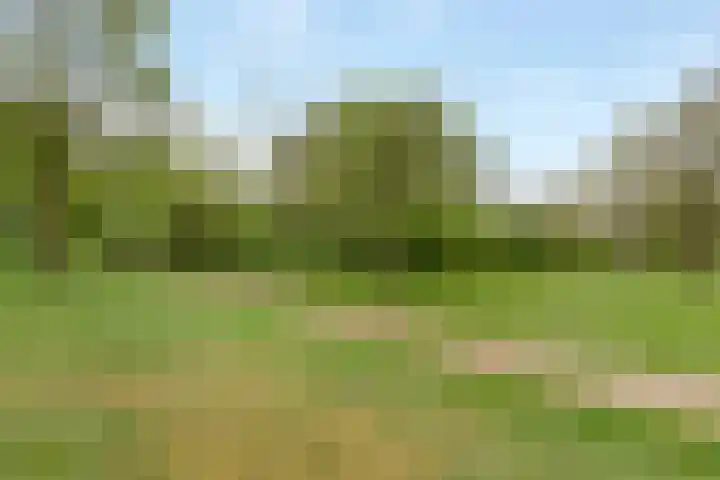 Waterland 37 Huizen thumbnail 22