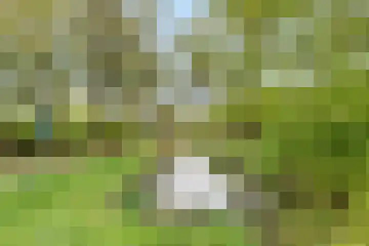 Waterland 37 Huizen thumbnail 23
