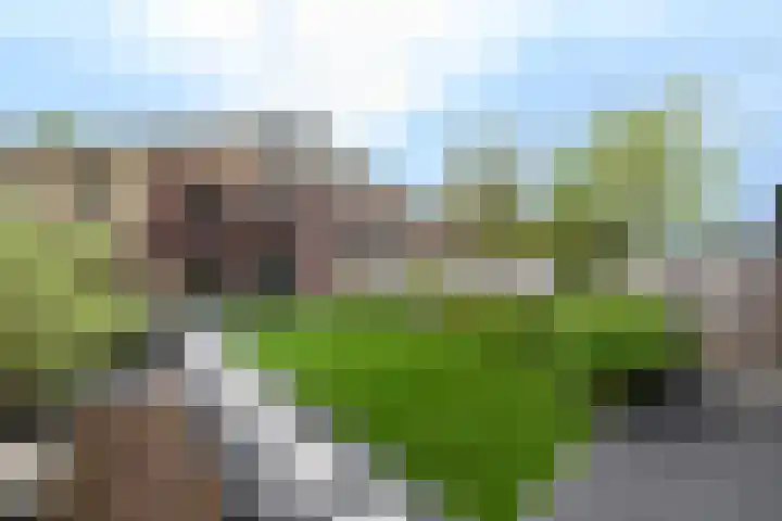 Waterland 43 Drachten thumbnail 39