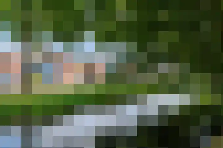 Waterland 43 Drachten thumbnail 5