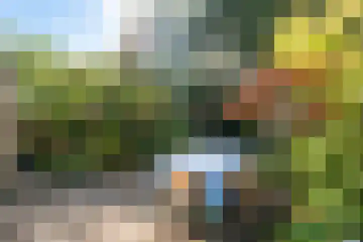 Waterland 5 Zoetermeer thumbnail 4