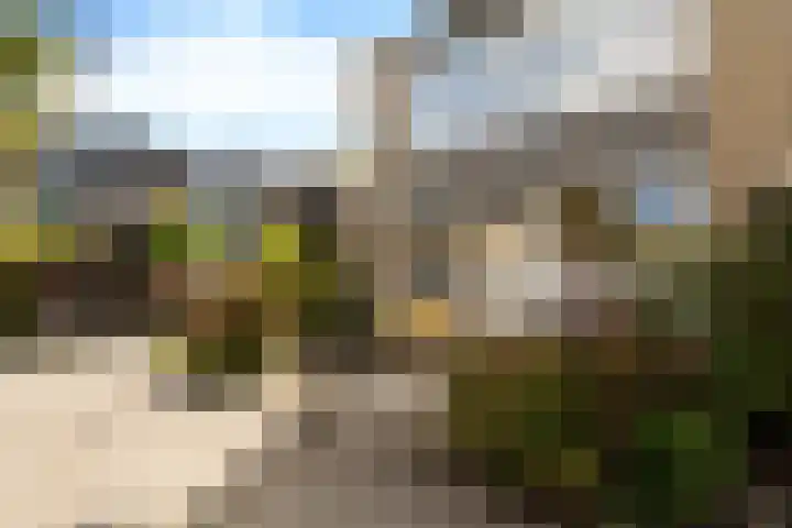 Waterland 5 Zoetermeer thumbnail 7