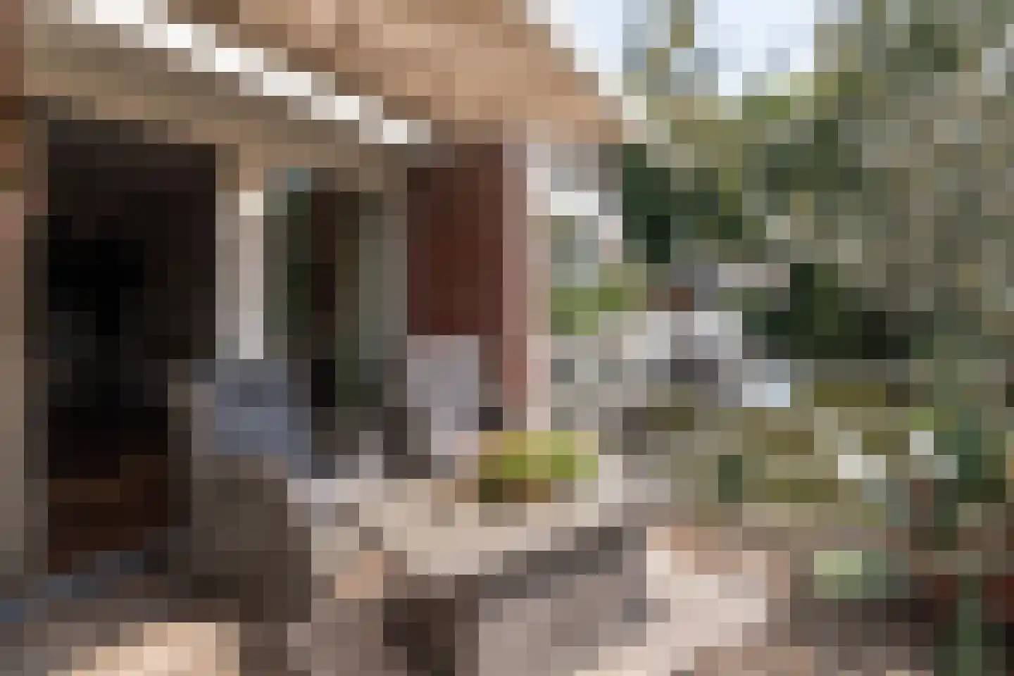 Waterland 57 Ridderkerk thumbnail 10