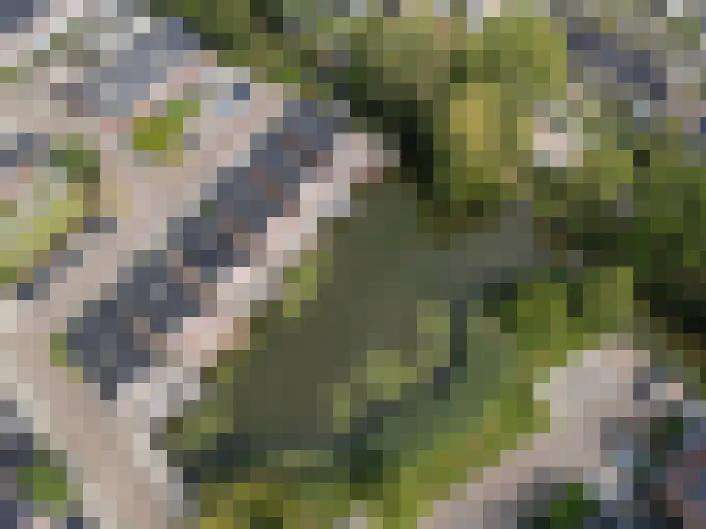 Waterland 57 Ridderkerk thumbnail 4