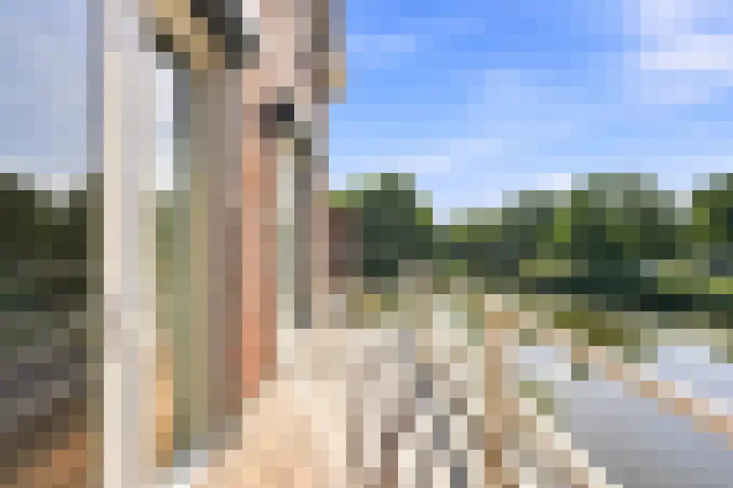 Waterland 59 Ridderkerk thumbnail 30