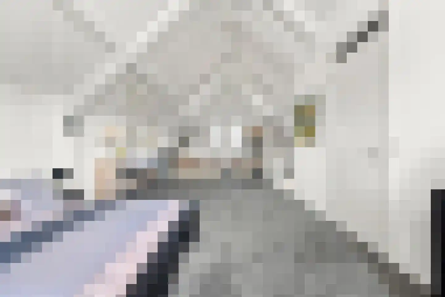 Waterland 59 Ridderkerk thumbnail 41