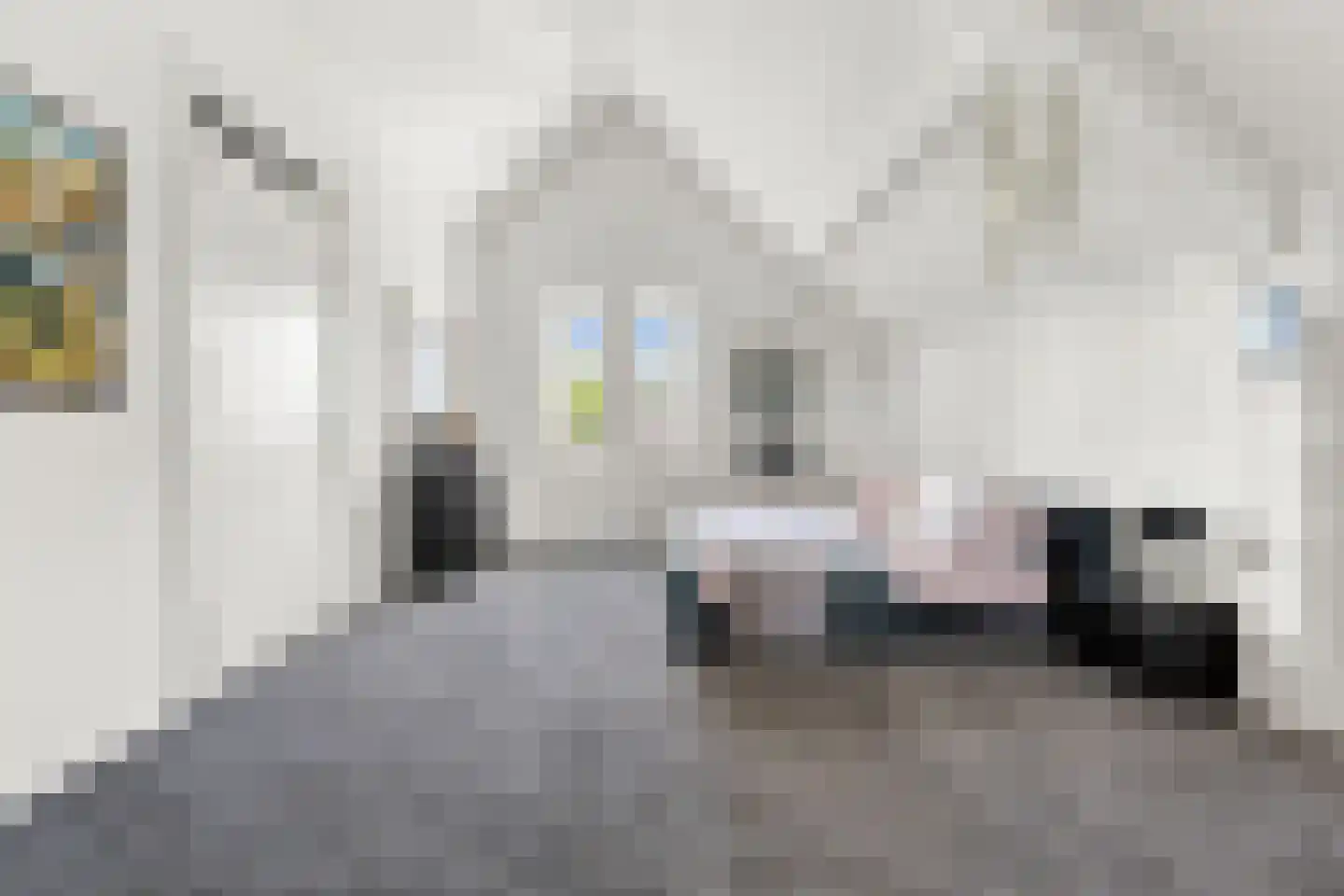 Waterland 59 Ridderkerk thumbnail 42