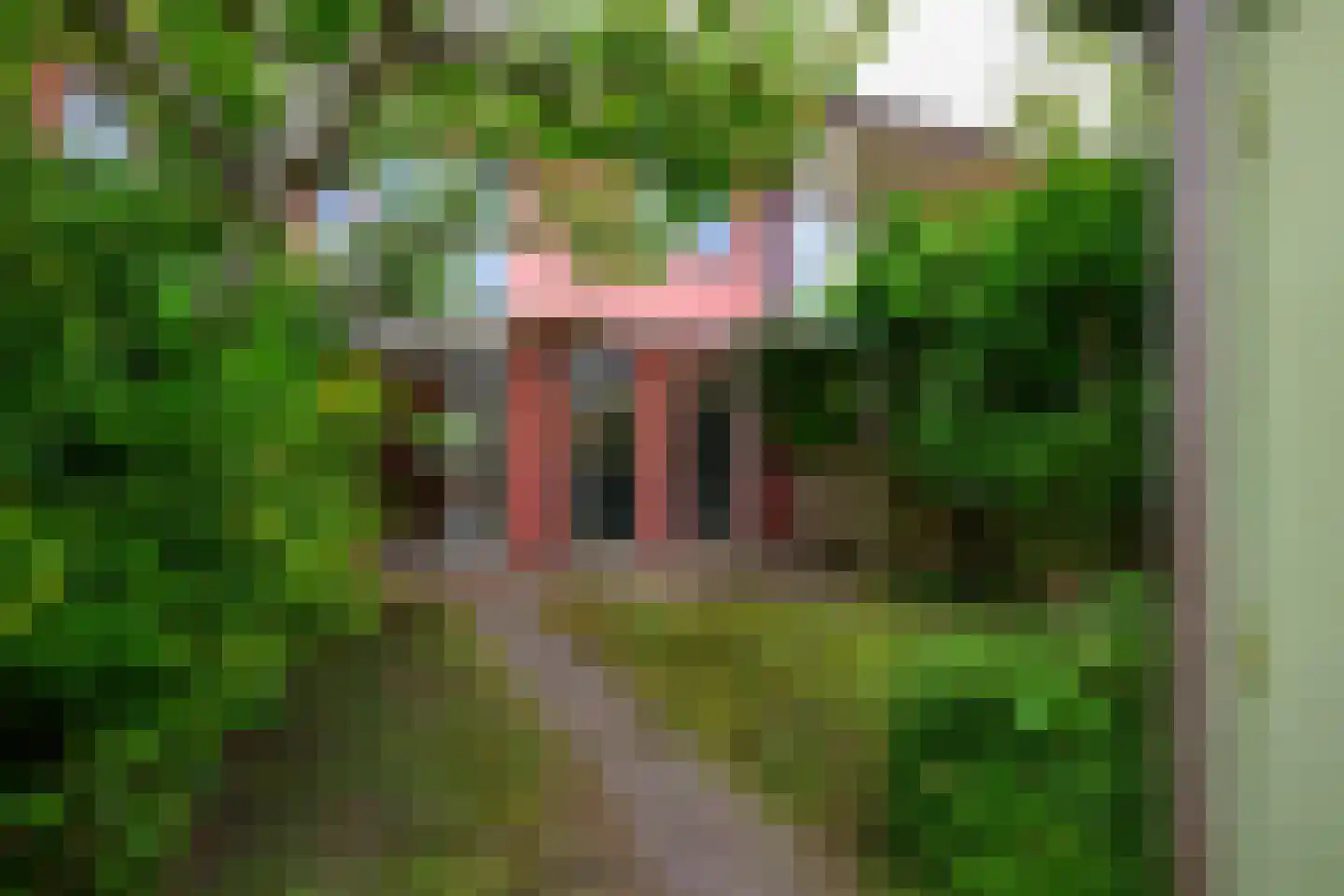 Waterland 63 Groningen thumbnail 22