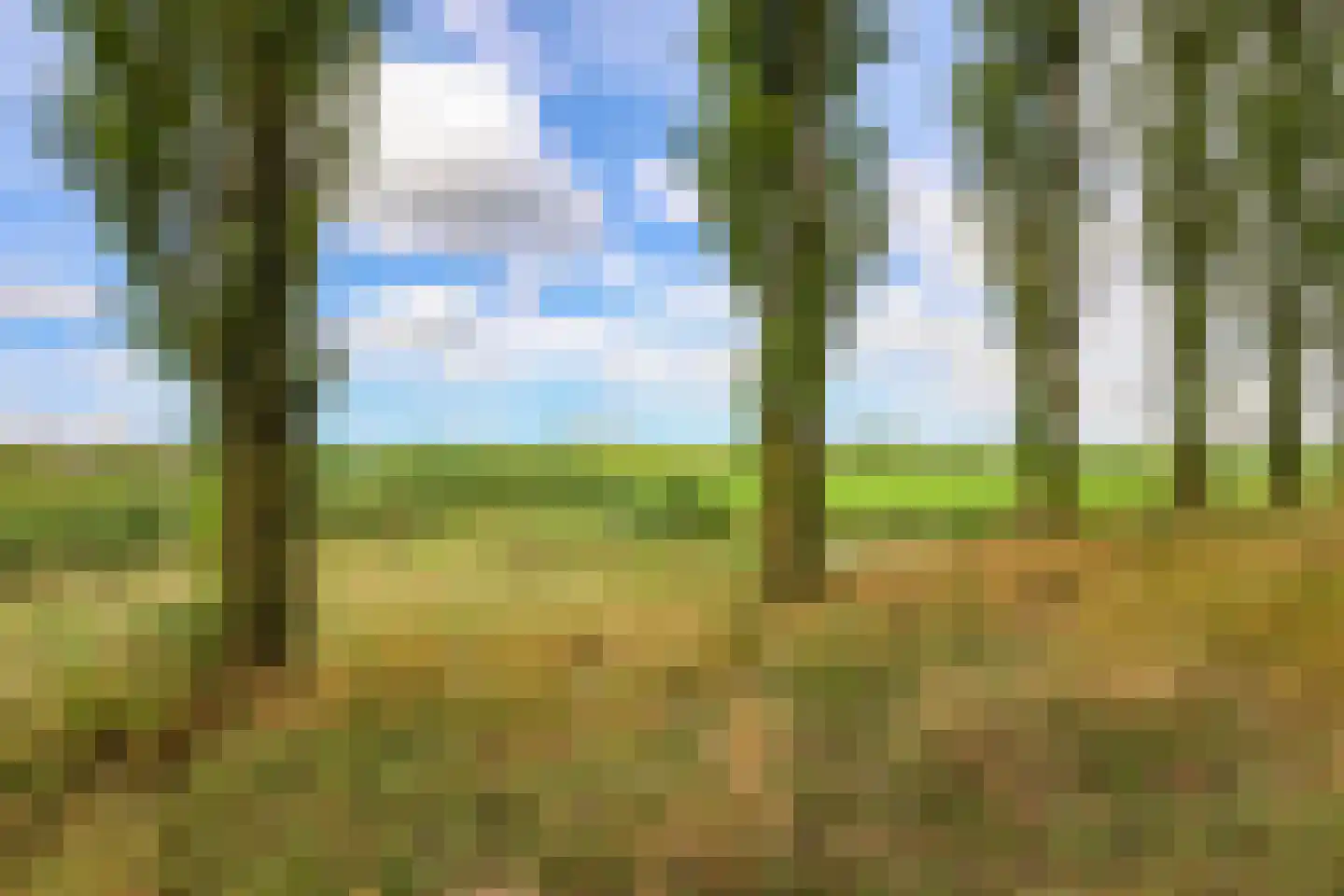 Waterland 63 Groningen thumbnail 29