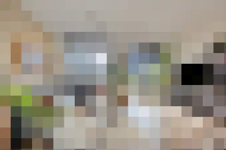 Waterland 8 Ridderkerk thumbnail 10
