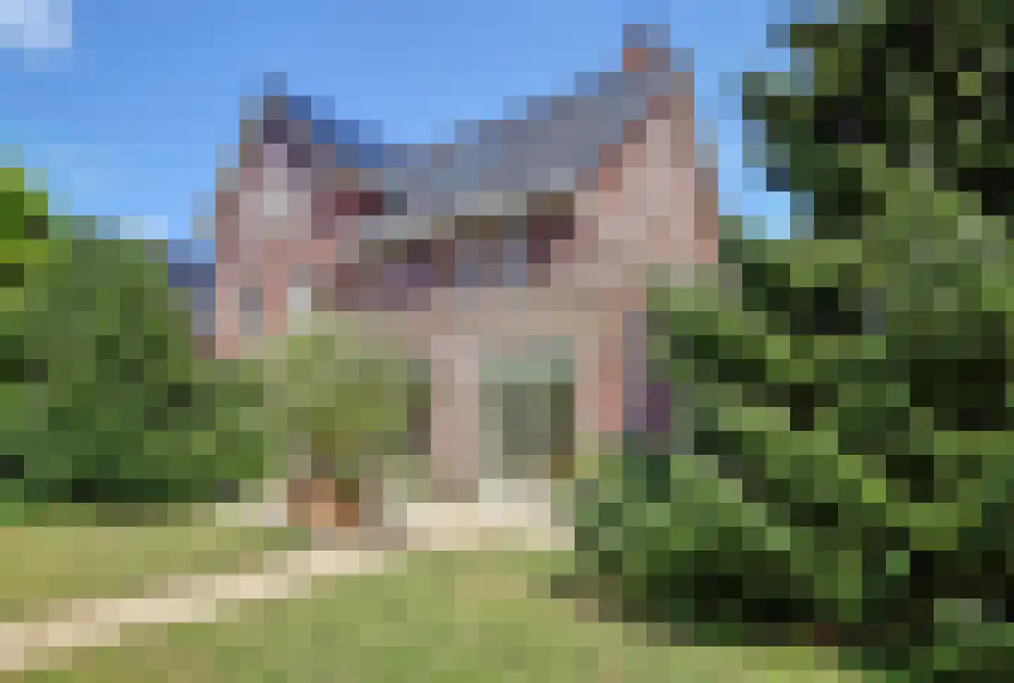 Waterland 87 Ridderkerk thumbnail 50