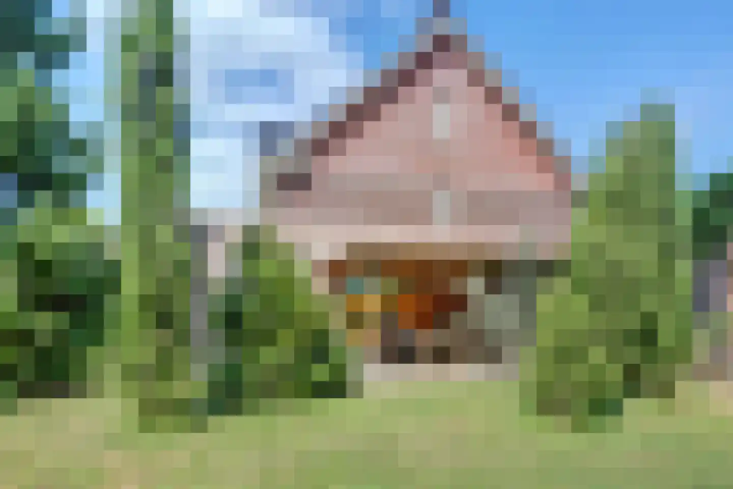 Waterland 87 Ridderkerk thumbnail 55