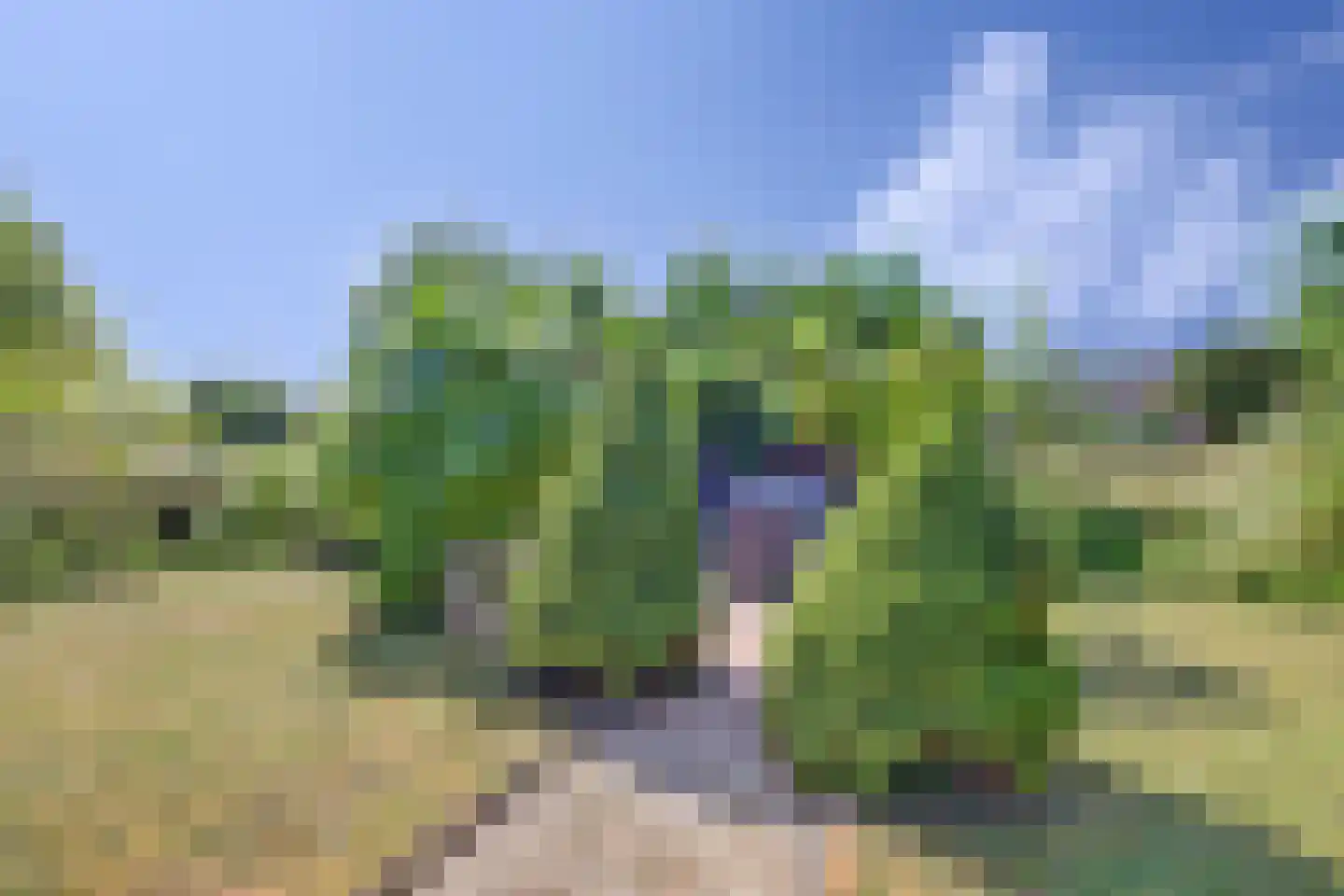 Waterland 87 Ridderkerk thumbnail 59