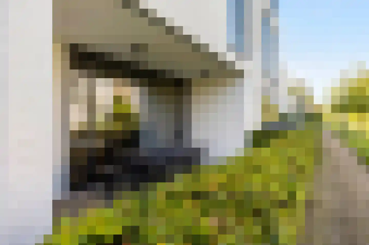 Waterland 88 Eindhoven thumbnail 11