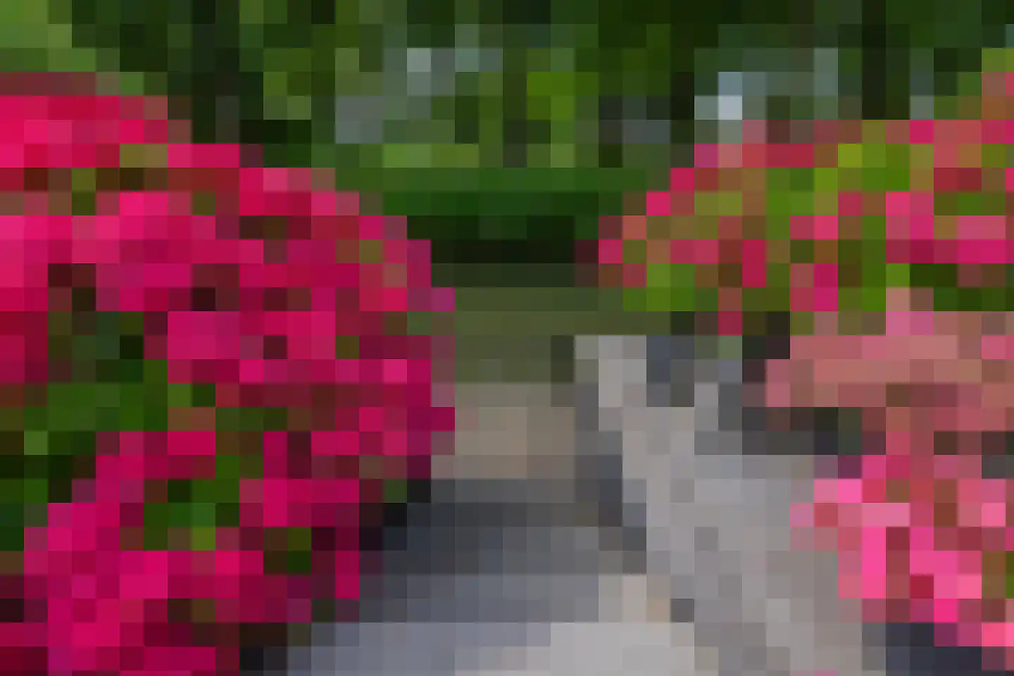Waterland 89 Ridderkerk thumbnail 68