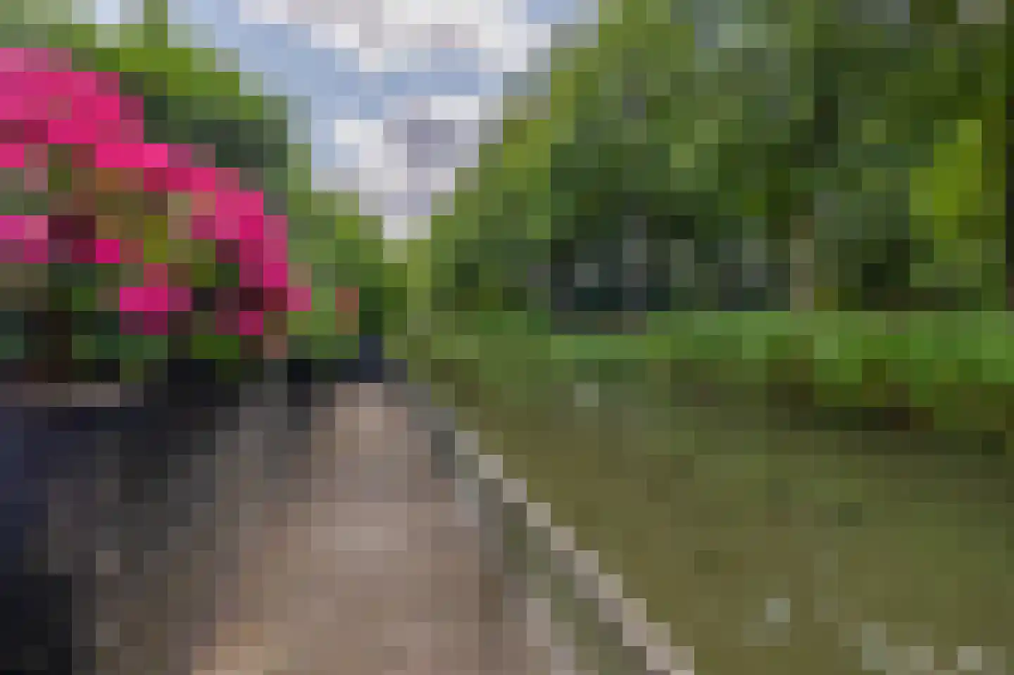 Waterland 89 Ridderkerk thumbnail 69