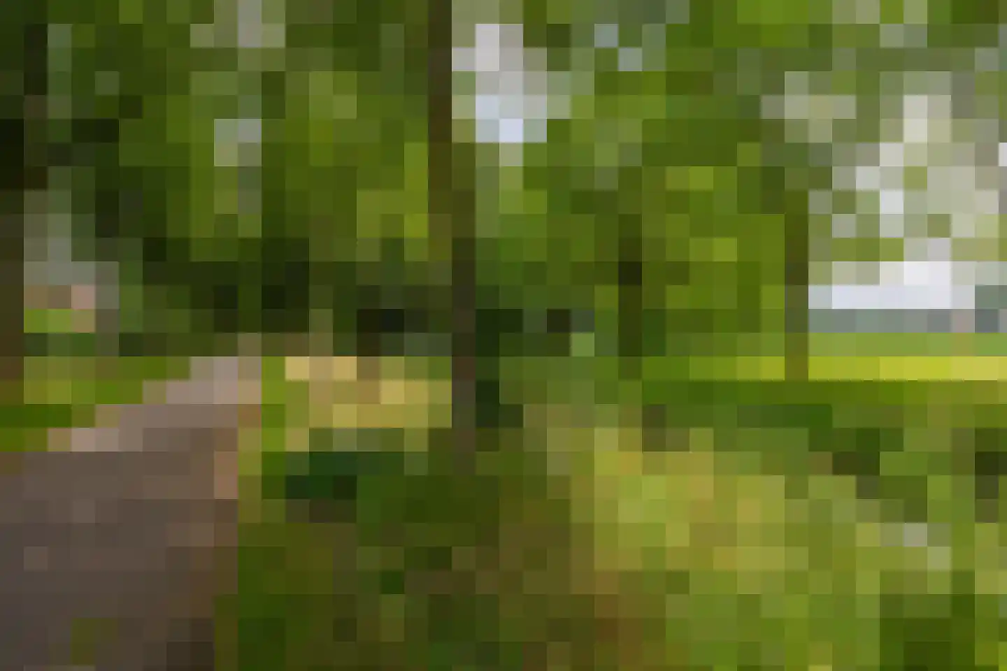 Waterland 89 Ridderkerk thumbnail 76
