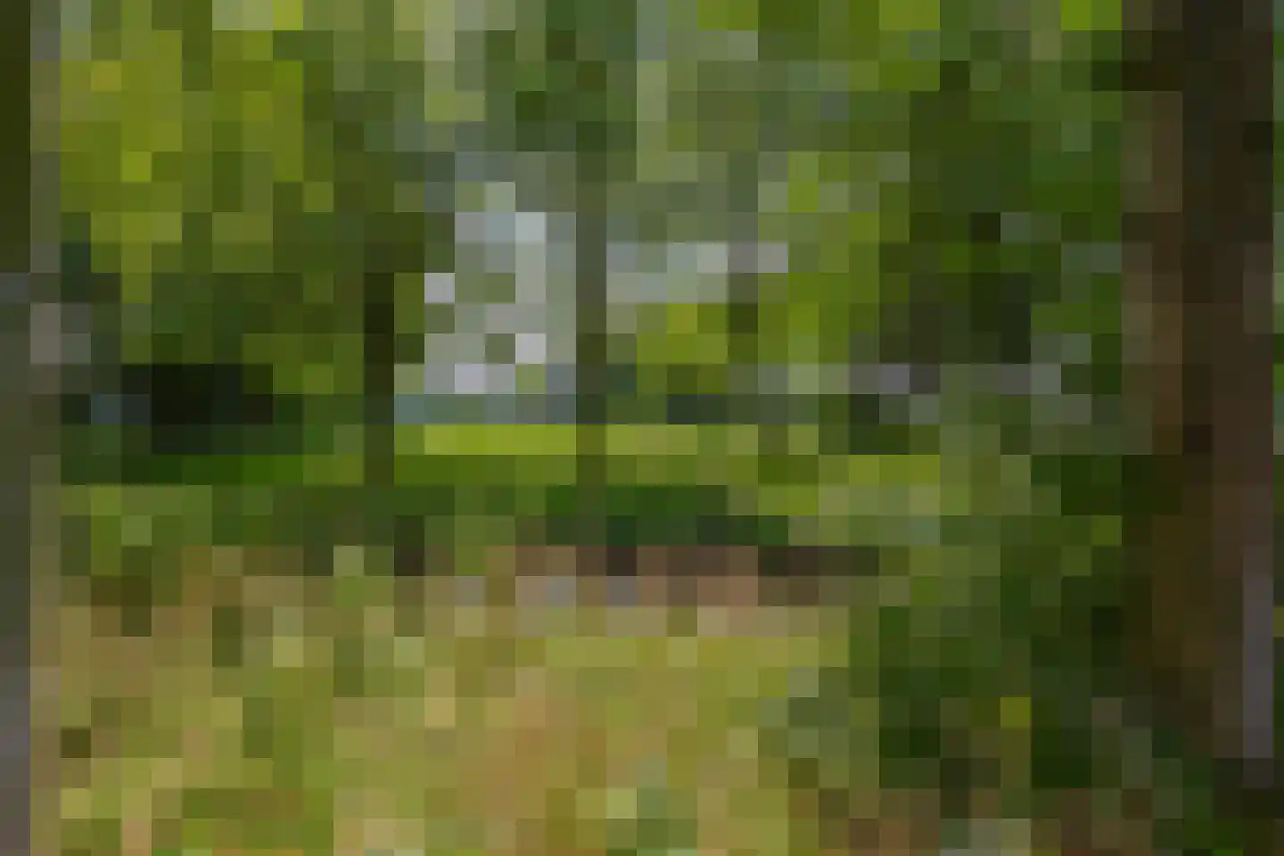 Waterland 89 Ridderkerk thumbnail 77