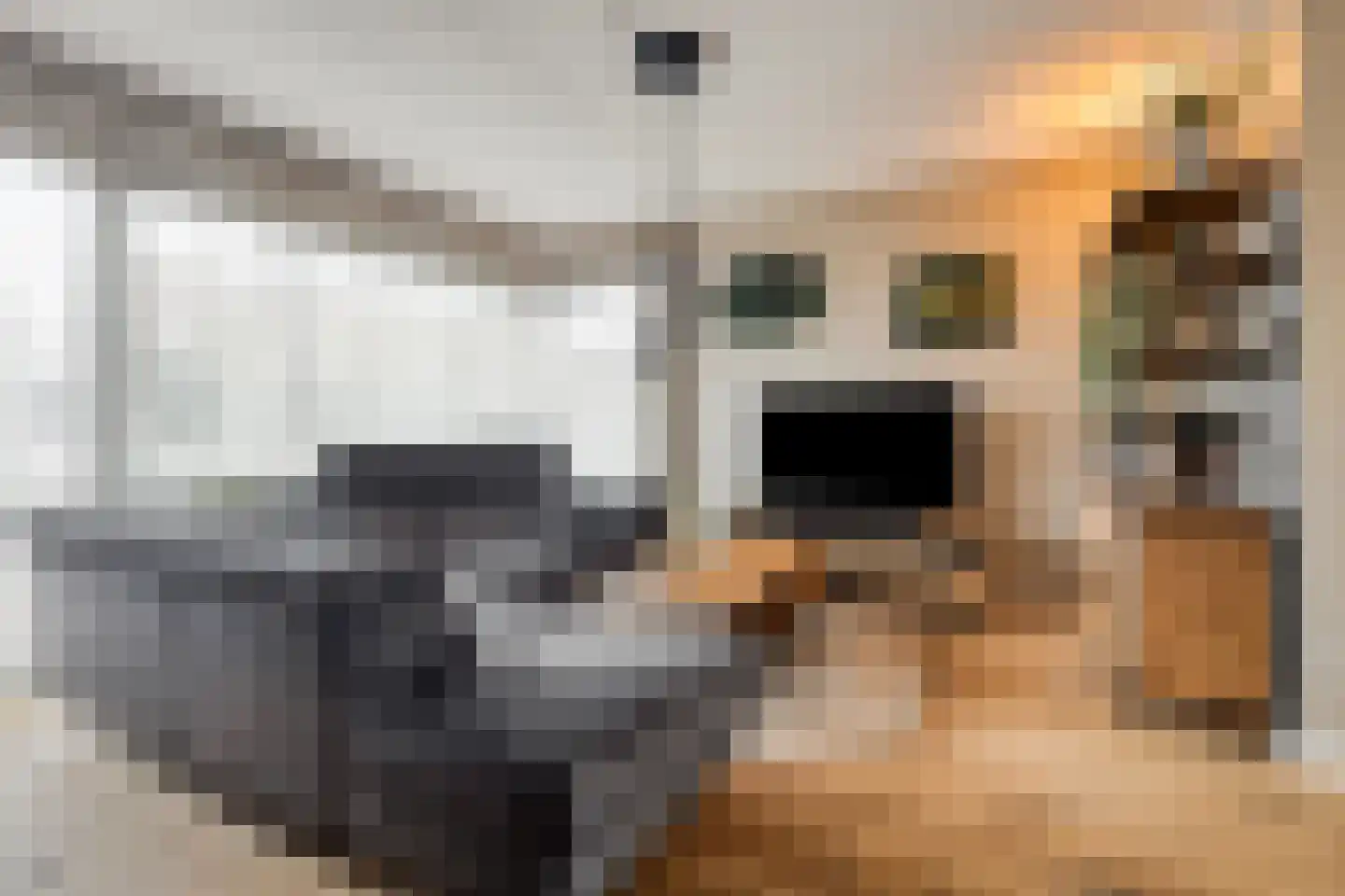 Waterlanden 11 Terneuzen thumbnail 10