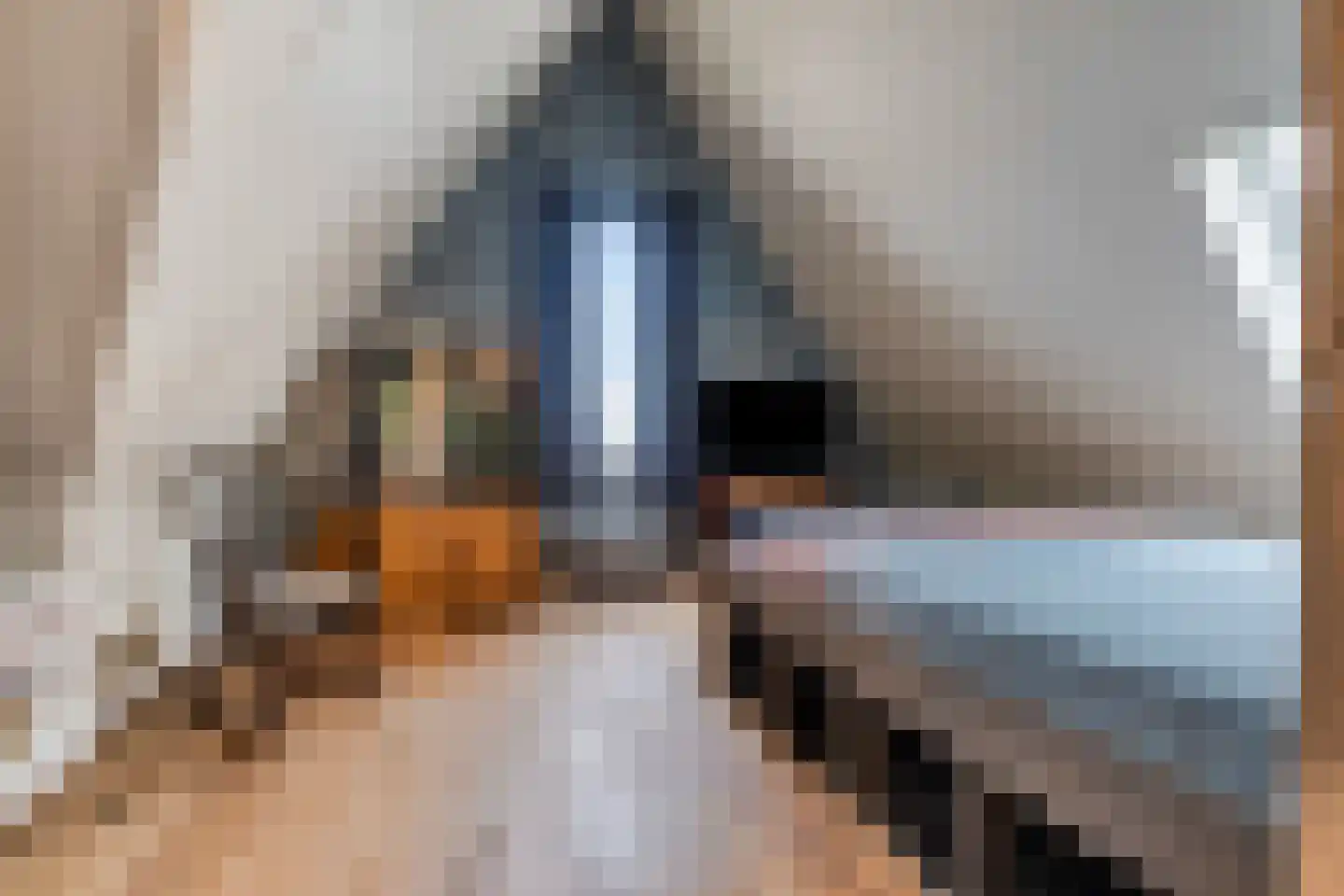 Waterlanden 11 Terneuzen thumbnail 32