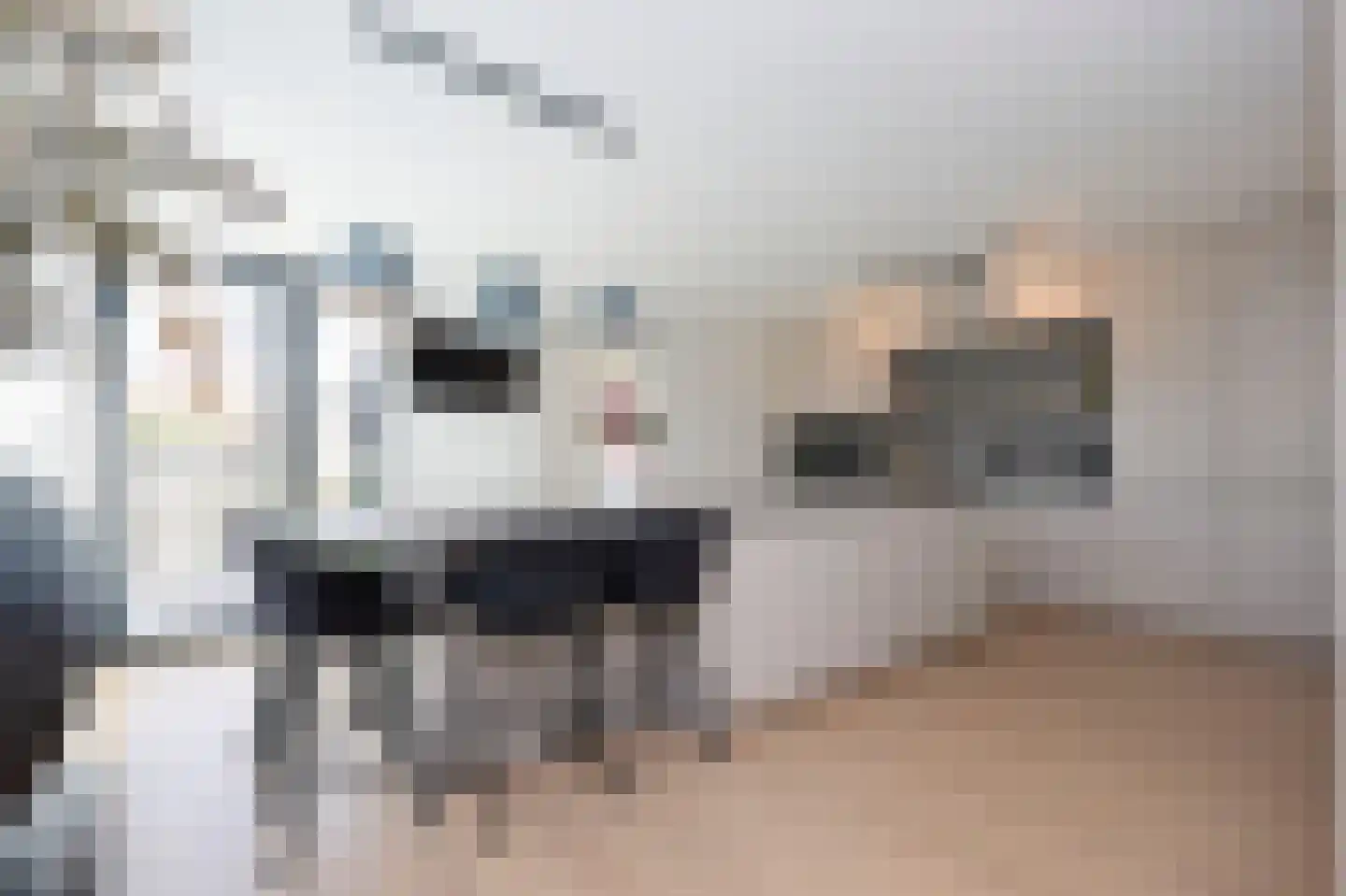 Waterlanden 19 e Terneuzen thumbnail 5