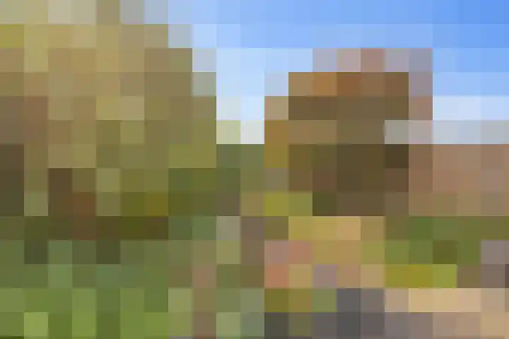 Waterlandlaan 110 Purmerend thumbnail 33