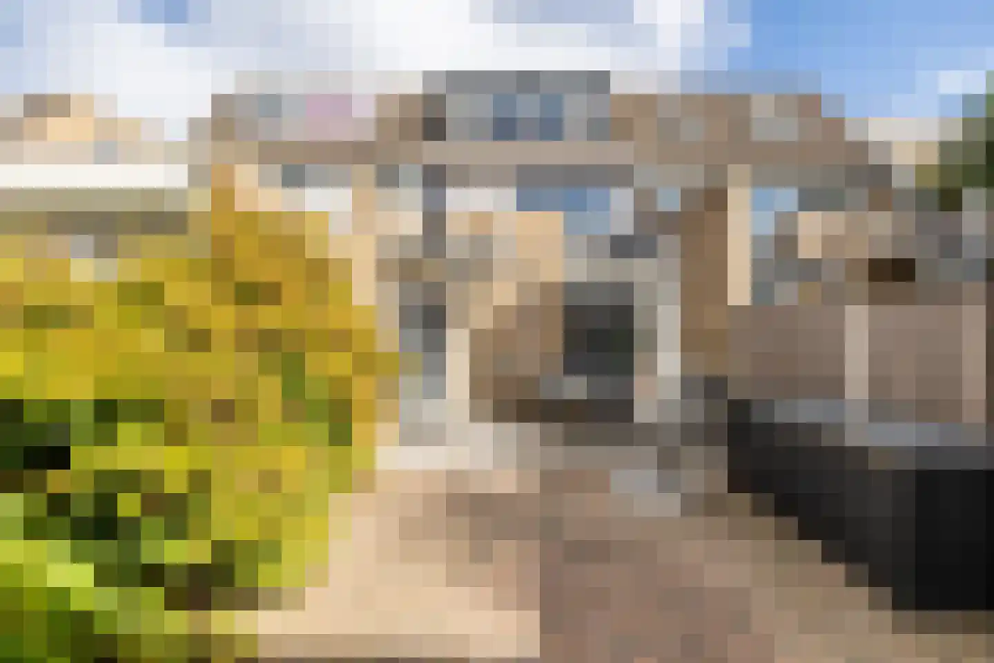Waterlandlaan 118 Purmerend thumbnail 4