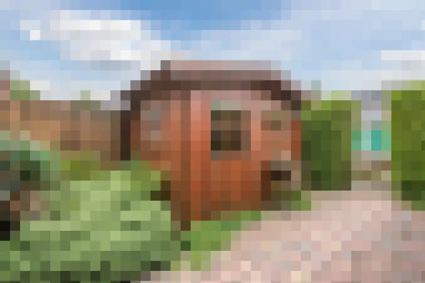 Waterlandlaan 13 Stadskanaal thumbnail 40