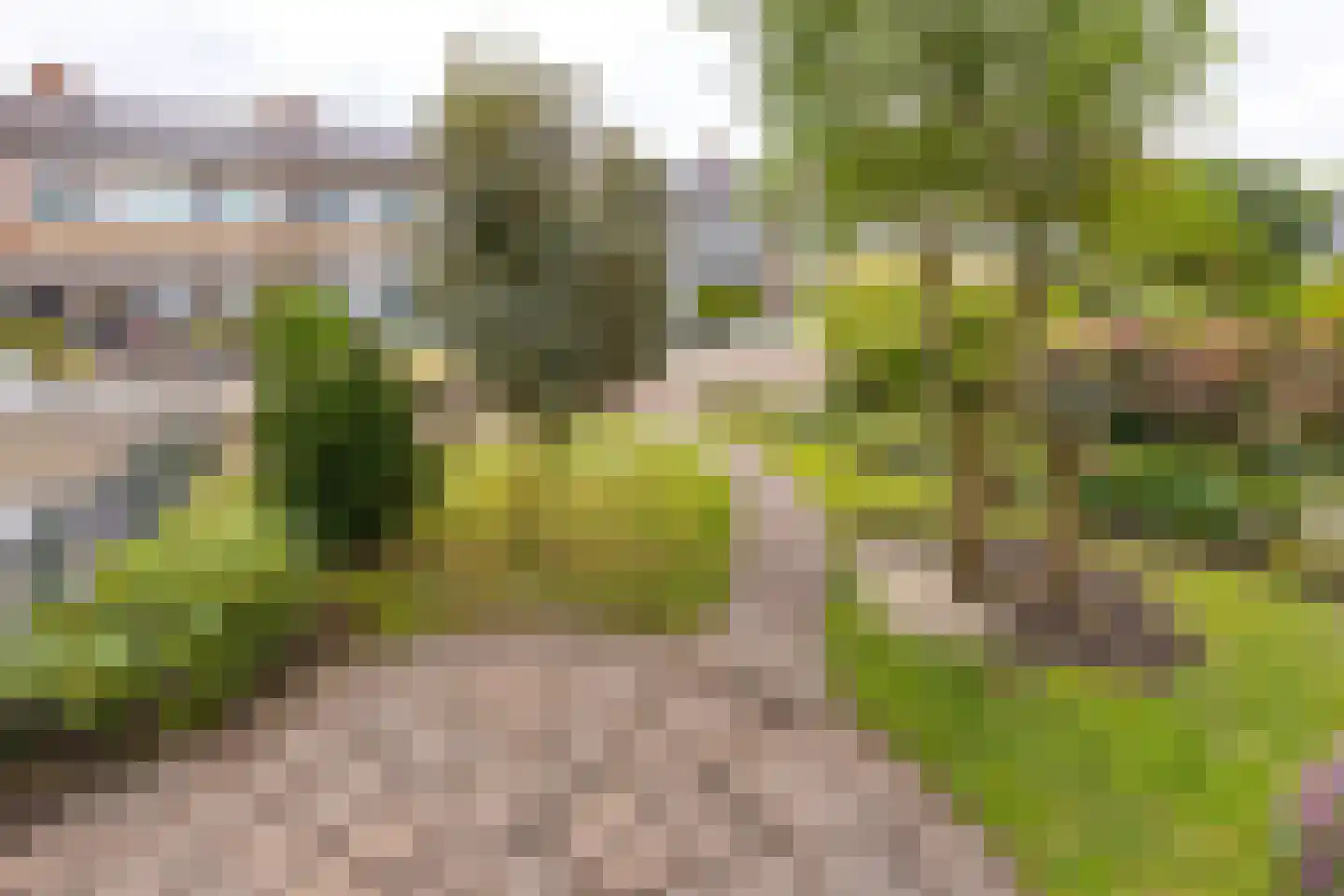 Waterlandlaan 15 Stadskanaal thumbnail 4