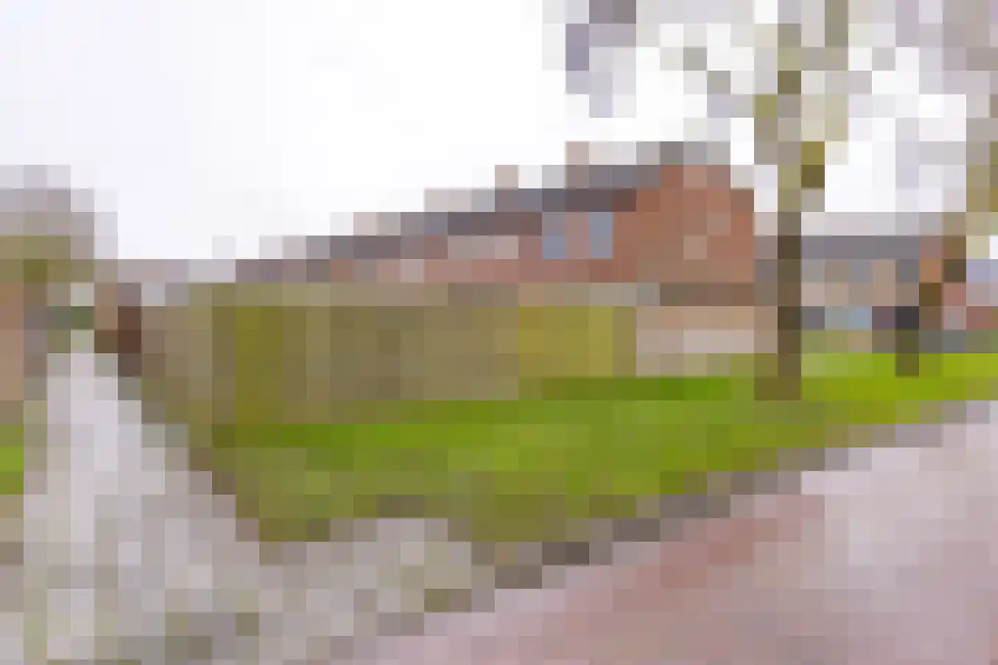 Waterlandlaan 22 Stadskanaal thumbnail 44