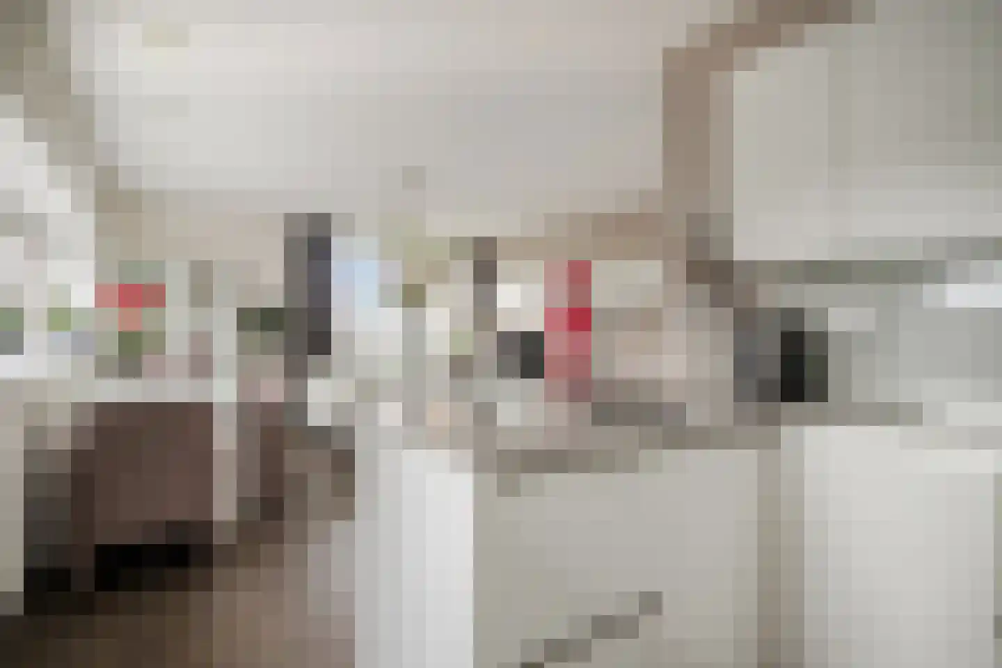 Waterlandplein 22 C 2 Amsterdam thumbnail 16