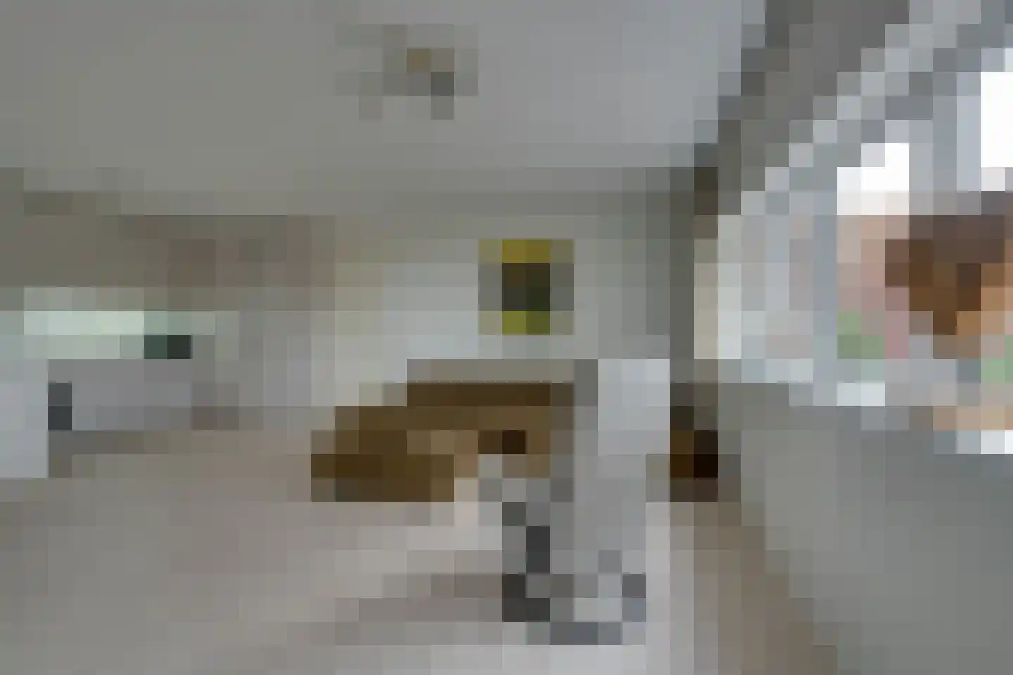 Waterlandplein 290 B Amsterdam thumbnail 6