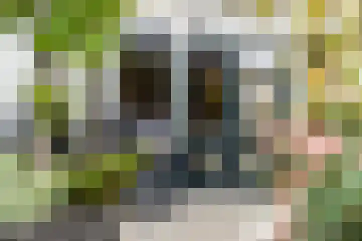 Waterlandse Hof 1 Landsmeer thumbnail 33