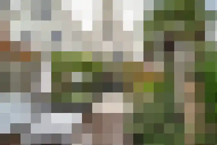Waterlandse Hof 1 Landsmeer thumbnail 36