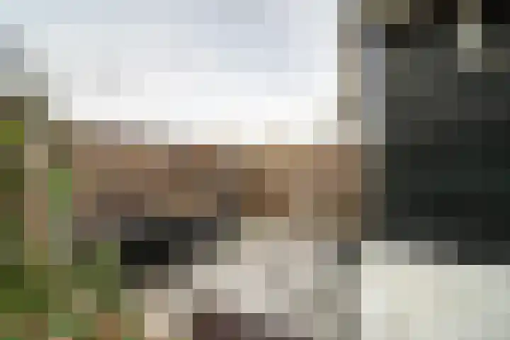 Waterlandse Hof 1 Landsmeer thumbnail 40